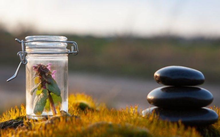 Fiori di Bach per combattere stress e stanchezza psicofisica